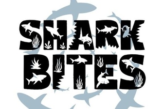 Shark Bites Font: Creative & Playful Typography Ideas
