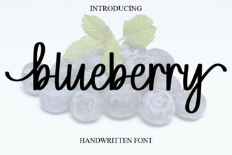 The Blueberry Font: Friendly Design for Modern Projects